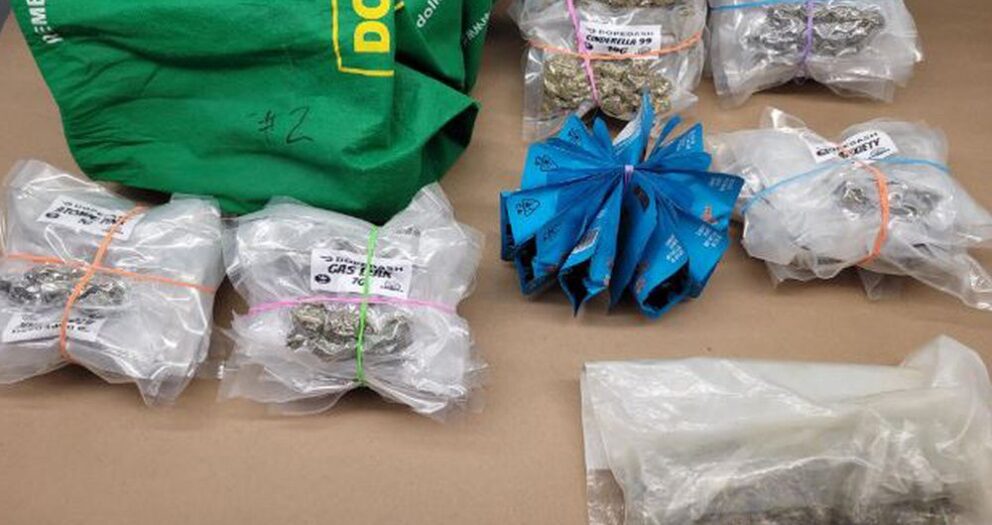 Two people in their 20s arrested after traffic stop yields cannabis, cash