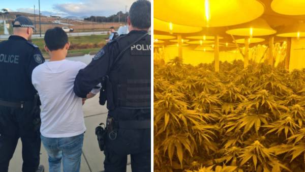 Man hid from police in roof, charged over 300 cannabis plants in Googong home
