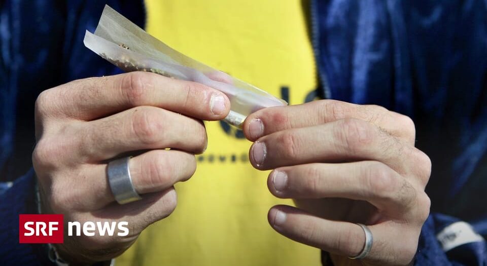 Was verändert sich, wenn Cannabis legal gekauft werden kann?