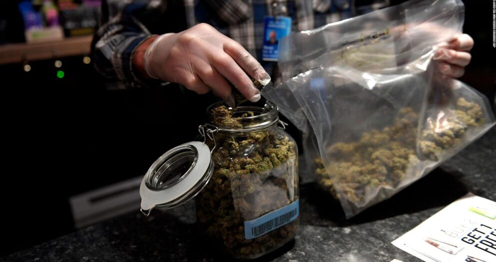 Legalizar el cannabis para uso recreativo incrementa su consumo, según investigaciones