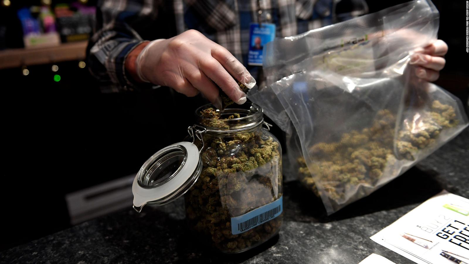 Legalizar el cannabis para uso recreativo incrementa su consumo, según investigaciones