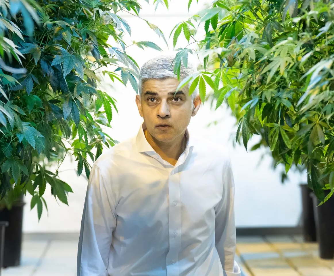 Cannabis products including oil, chocolate balls and gummies soon to be sold at Tesco