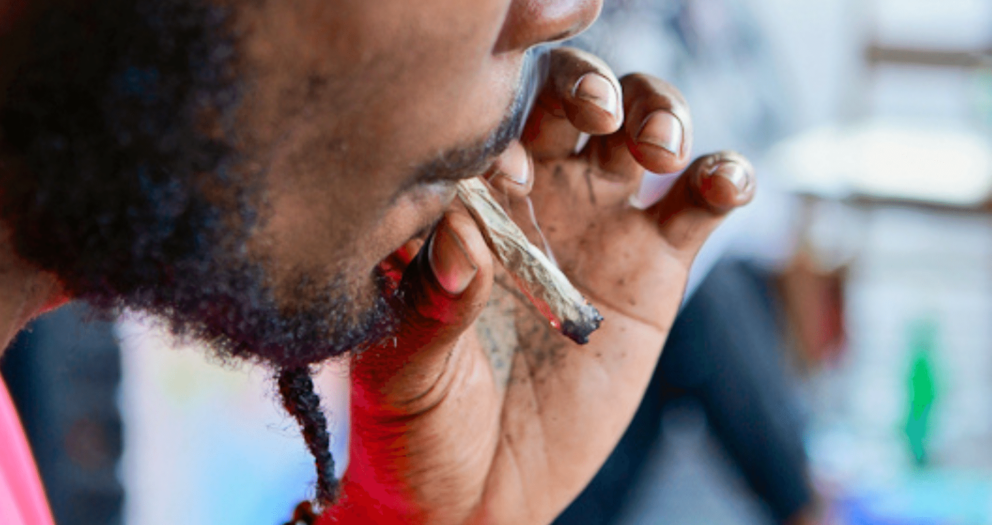 Sovereignty, labour, and the push for a better cannabis industry