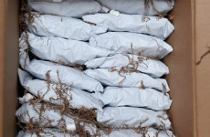 Man arrested after herbal cannabis worth €226,000 seized in north Dublin