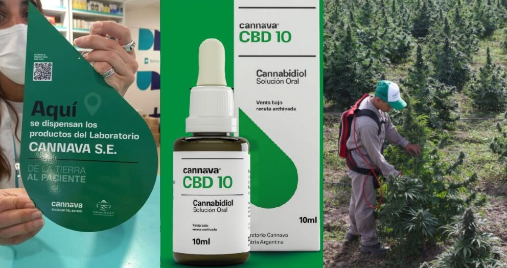 Cannabis medicinal: Anmat habilitó a Cannava y el aceite de CBD jujeño podrá adquirirse en farmacias nacionales