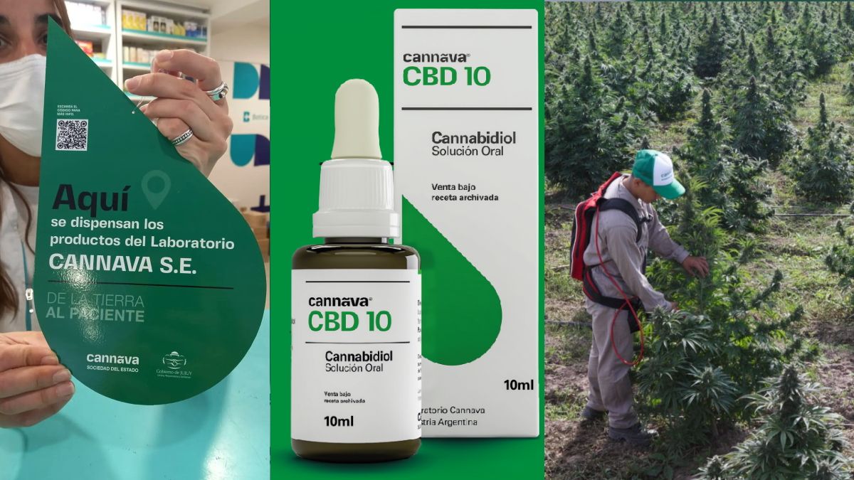 Cannabis medicinal: Anmat habilitó a Cannava y el aceite de CBD jujeño podrá adquirirse en farmacias nacionales