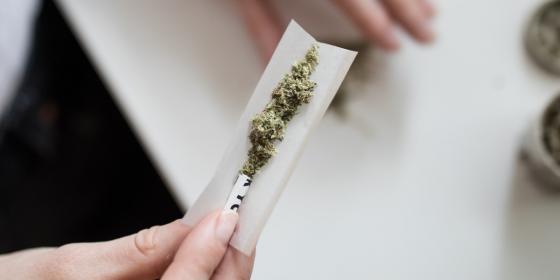 La exposición del feto al cannabis se asocia a trastornos mentales a largo plazo