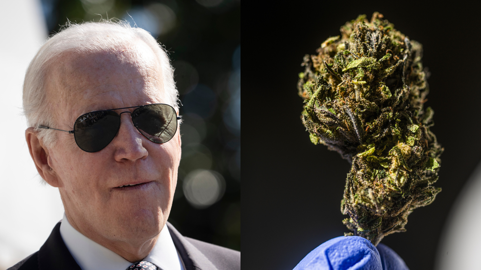 Joe Biden Just Called for Pardoning All Simple Marijuana Possession Convictions