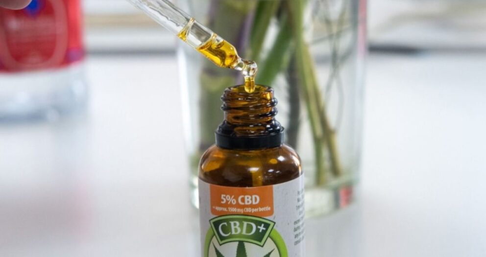 Presentaron la empresa Cannabis Conicet: ¿por qué se creó y cuáles serán sus funciones?