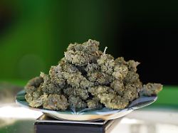 Lauterbach legt Eckpunkte vor: So könnte die Cannabis-Legalisierung aussehen