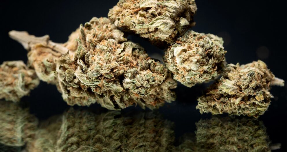 Cannabis Banking Startups Want to Make It Easy to Buy Weed