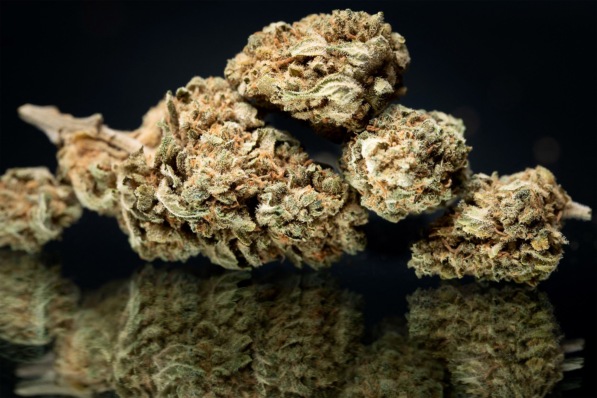 Cannabis Banking Startups Want to Make It Easy to Buy Weed