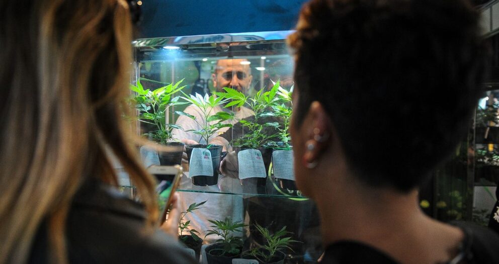 La tercera edición de la Expo Cannabis desbordó La Rural porteña