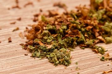 Albanian cannabis farmer found in Rose Hill was paying off £11k debt