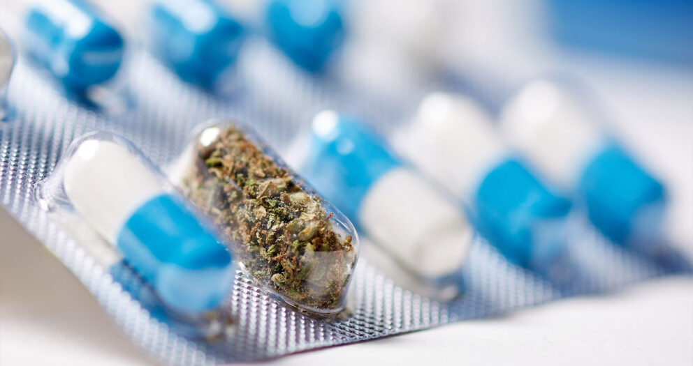 Can cannabis help us win the war against antibiotic resistance?