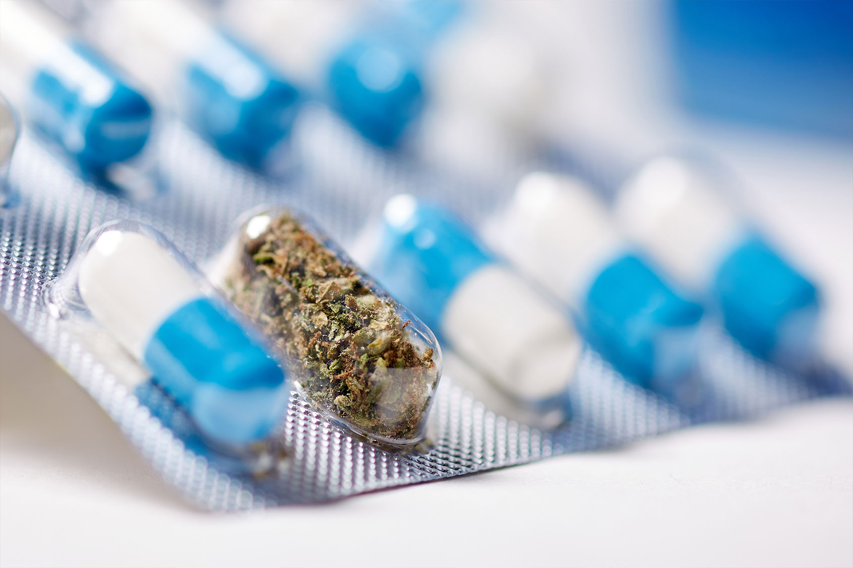 Can cannabis help us win the war against antibiotic resistance?
