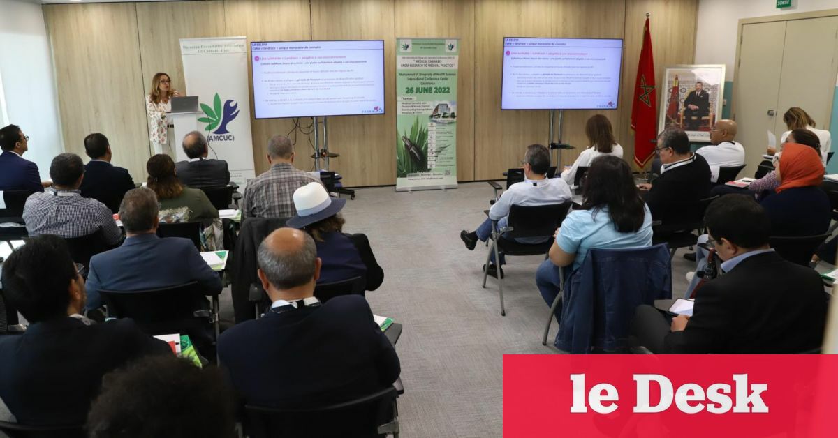 Au Maroc, la production de cannabis thérapeutique démarre dans trois mois