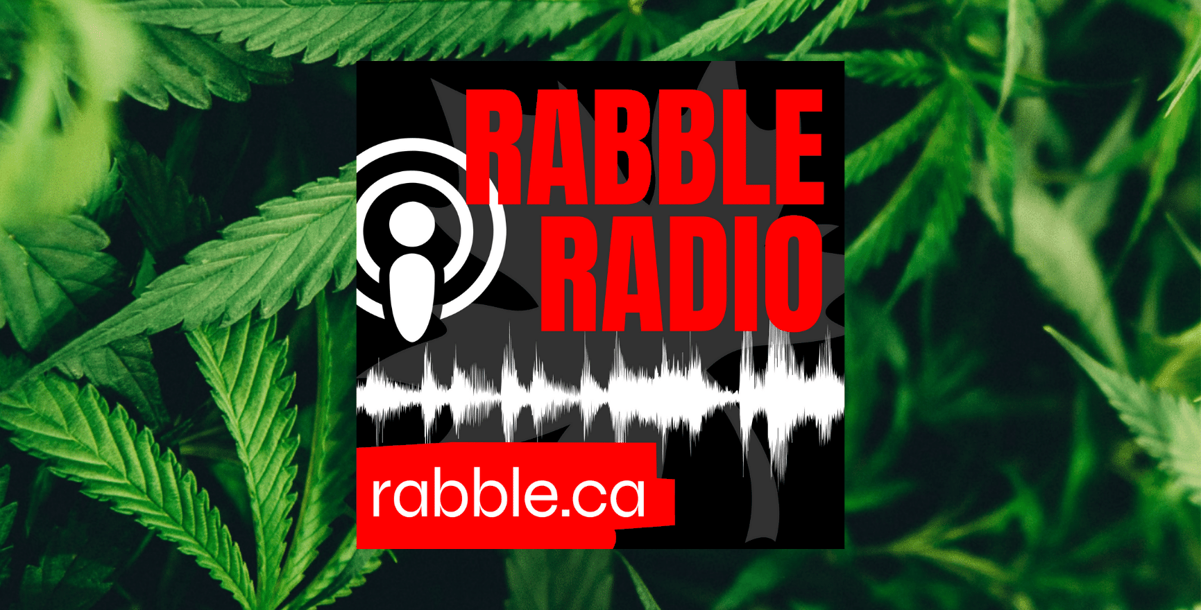 Cannabis in Canada – who’s running the show?