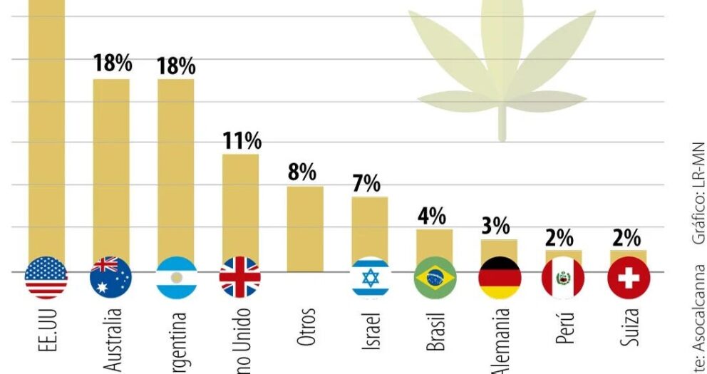 Los reparos que hacen las empresas de cannabis por la legalidad del uso recreativo