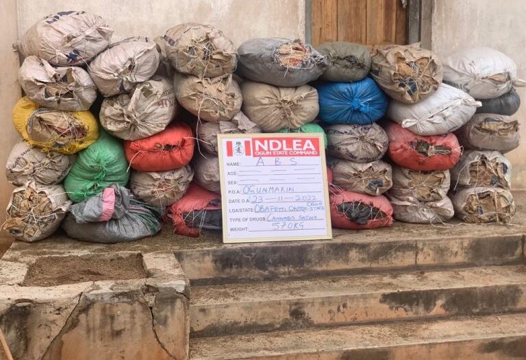 NDLEA seizes 5.8 tons of skunk, cannabis in 5 states