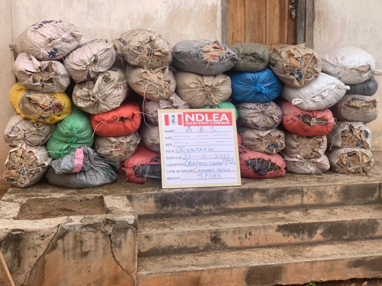 NDLEA seizes 5.8 tons of skunk, cannabis in 5 states