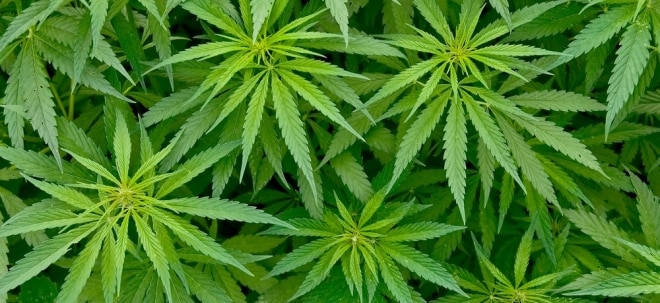 Deutscher Cannabis-Konzern bekommt bekannten Investor: Canopy Growth-Gründer steigt bei SynBiotic ein