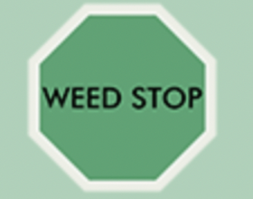 WeedStop is an online marketplace for the cannabis community in DC
