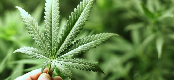 Das deutsche Cannabis-Startup AURIEY vertreibt stilvolles Konsumenten-Zubehör