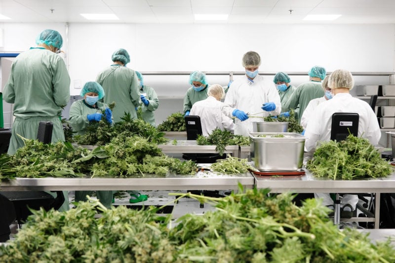 Wieder Geld für Cannabis-Senkrechtstarter Demecan