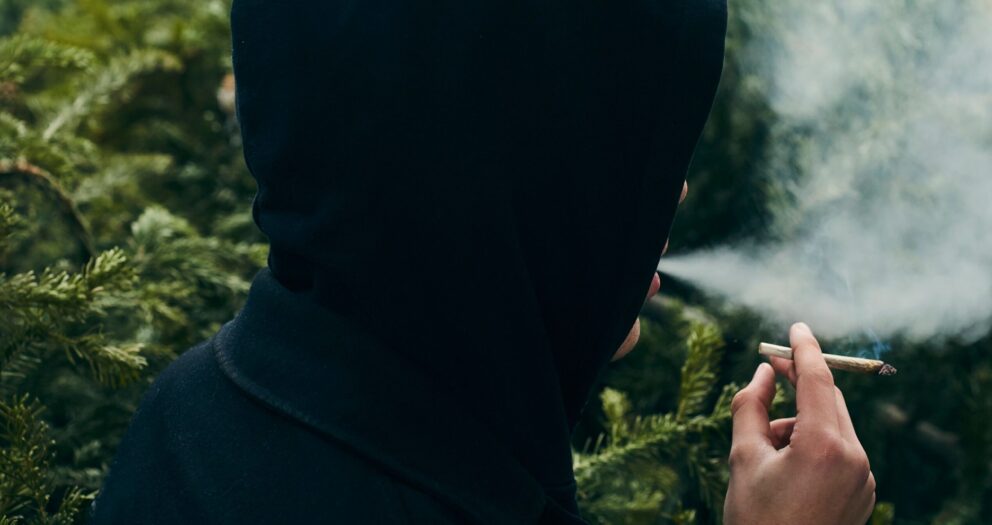 Cannabis : désormais le fumeur français moyen est un sudiste trentenaire
