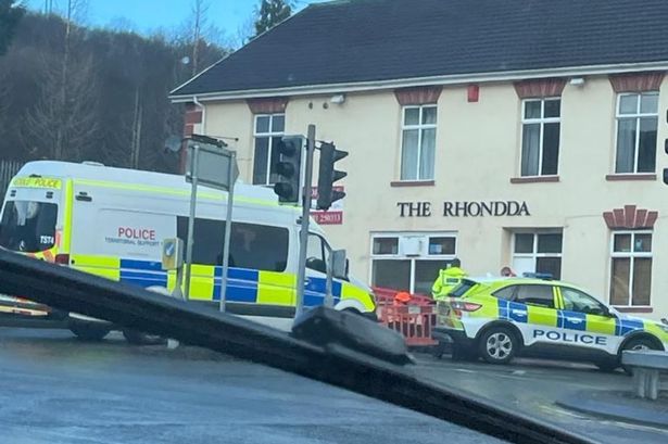 Police discover 1,000 cannabis plants in empty pub