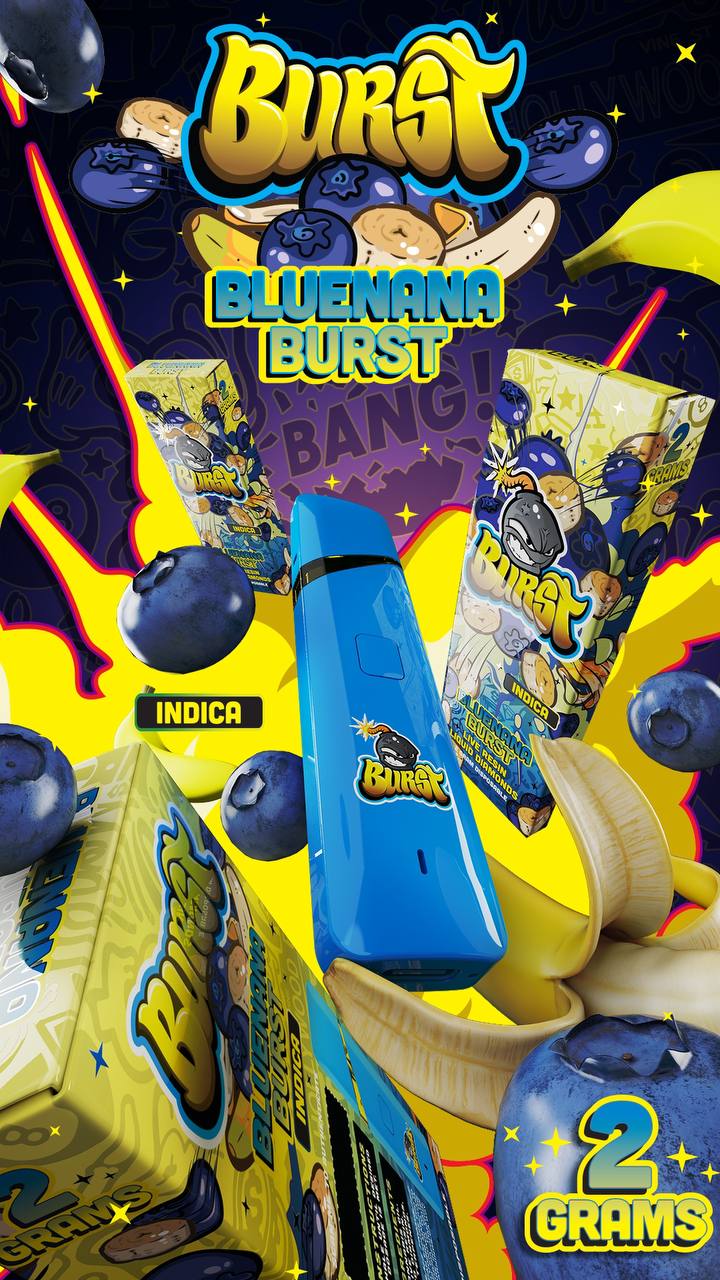 Burst Vapes 2G - Image 3